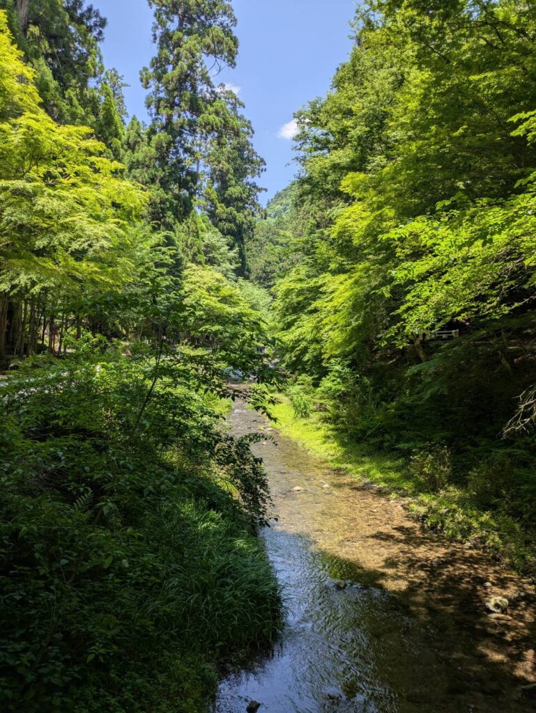明鏡止水
