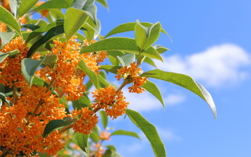 〜思いを巡らす看護〜