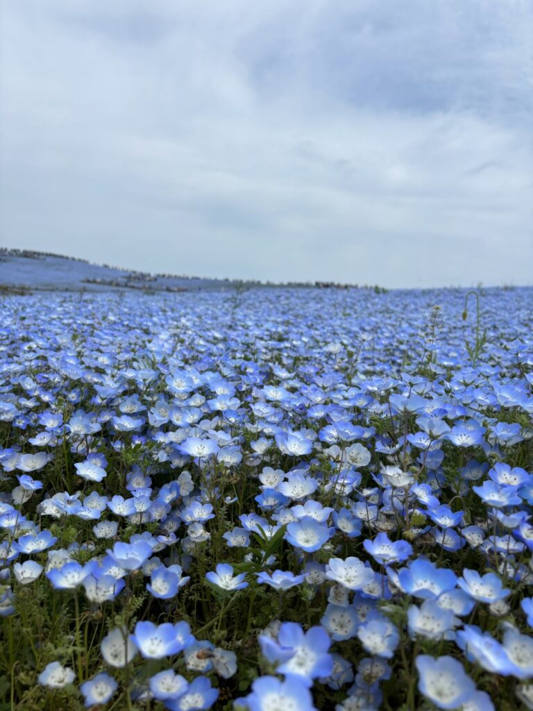 心の海と感情の満ち引き